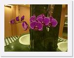 P1050427 * flowers in the washroom * 2048 x 1536 * (1.34MB)